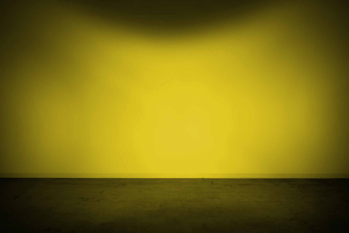 4Banger Yellow Flood Lens Only <br>Universal