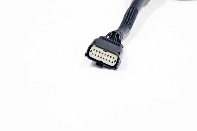 XBG Adapter Harness <br>21-24 Ford F150