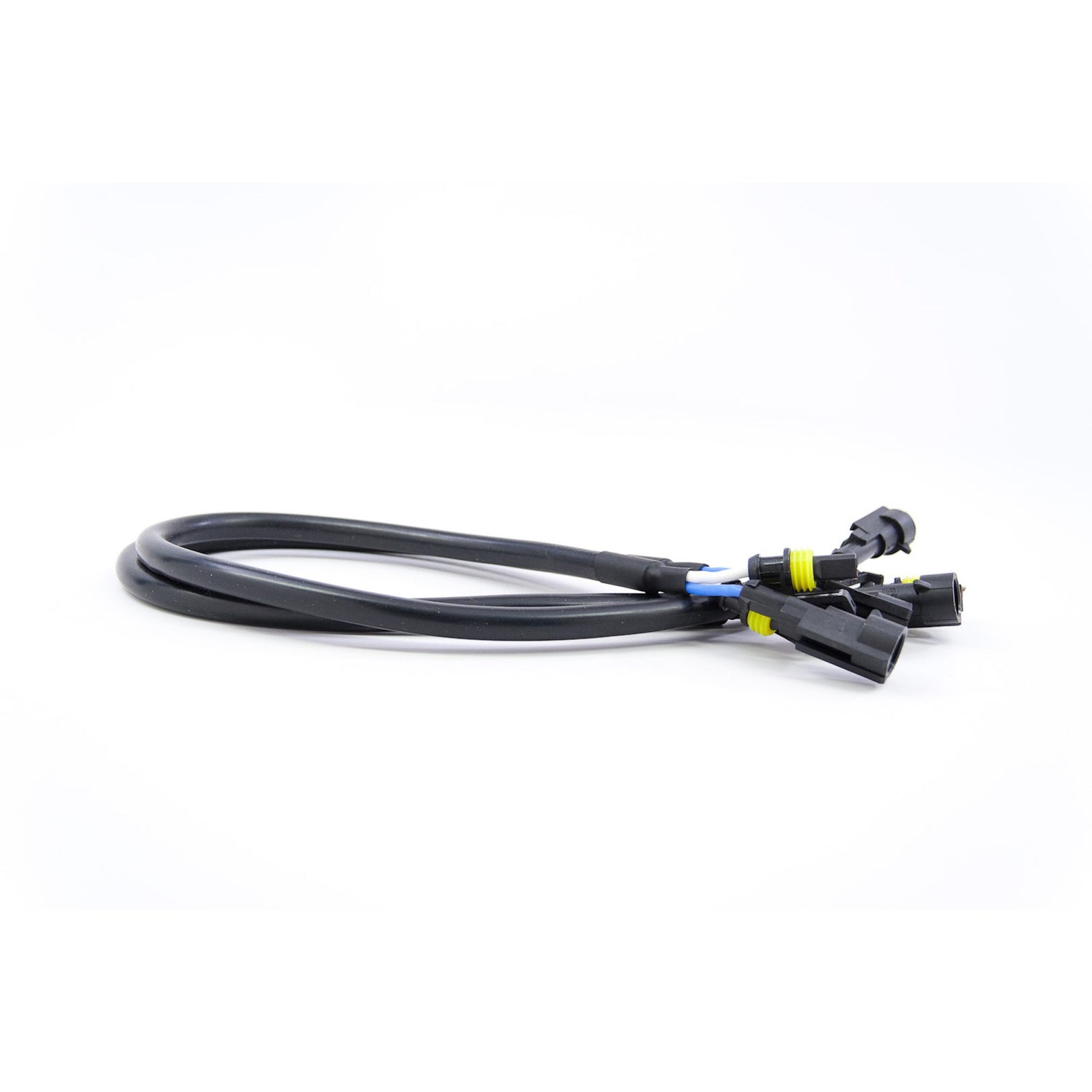 AMP Extensions <br>Universal
