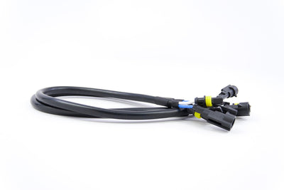 AMP Extensions <br>Universal