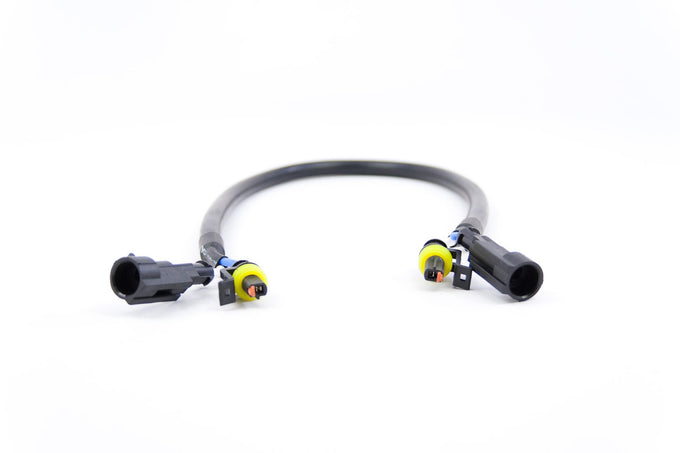 AMP Extensions <br>Universal