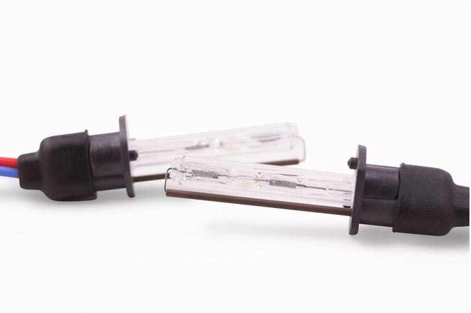 ACME HID (8000K)H1 HID Bulb <br>Universal