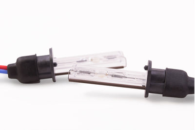 ACME HID (6000K) H1 HID Bulb <br>Universal