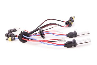 ACME HID (8000K)H1 HID Bulb <br>Universal
