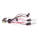 ACME HID (6000K) H1 HID Bulb <br>Universal
