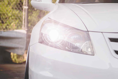 ACME HID (6000K) H1 HID Bulb <br>Universal