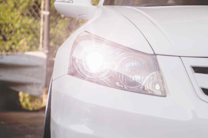 ACME HID (6000K) H1 HID Bulb <br>Universal
