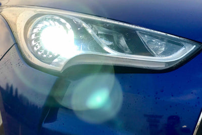 ACME HID (4300K), H1 HID Bulb <br>Universal