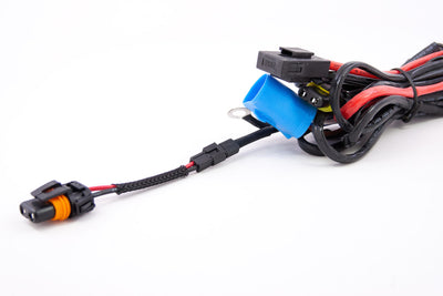 Adapter: 9006 Female to Molex Male <br>Universal