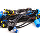 Splitter: H1M to 9006F/9006F <br>Universal