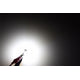 LED Light Bulb T10/194: Profile Crown 1.0 <br> Fits sizes: 194,T10,168,192,280,464,501,655,1250,2450 & more