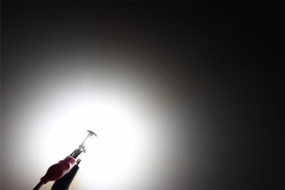 LED Light Bulb T10/194: Profile Crown 1.0 <br> Fits sizes: 194,T10,168,192,280,464,501,655,1250,2450 & more