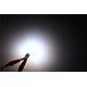 LED Light Bulb T10/194: Profile Crown 2.0 <br> Fits sizes: 194,T10,168,192,280,464,501,655,1250,2450 & more