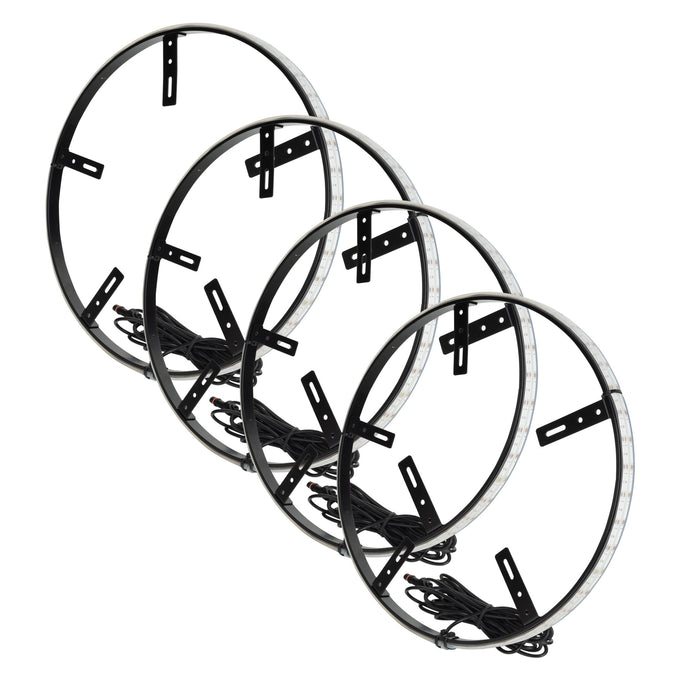 16.5 in. PLASMA Wheel Rings w/ BC2 <br> Universal