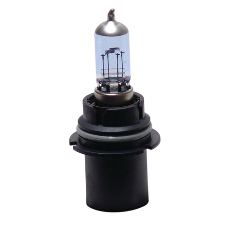 Super White Halogen Bulbs 12V 55/65W Twin Pack<br> 9004 Universal