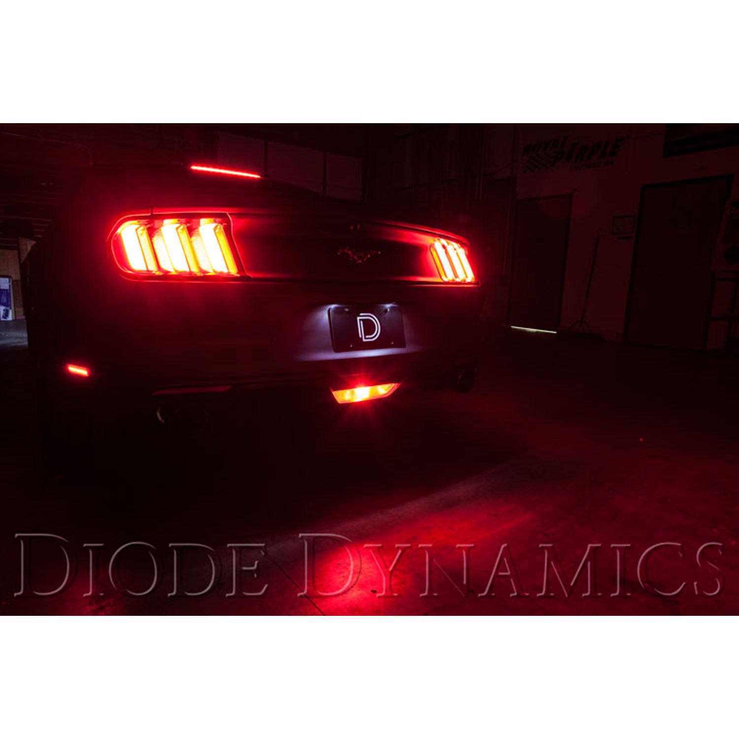 DD3017 - 1