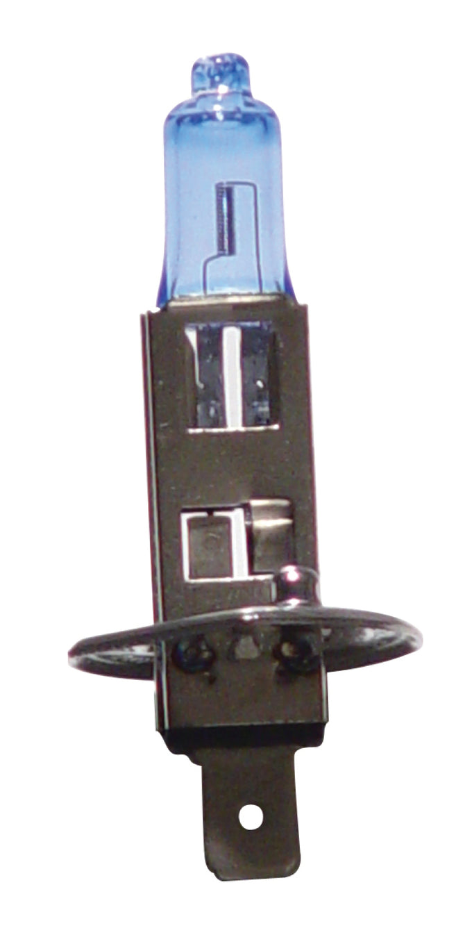 Super White Halogen Bulbs 12V 55W Twin Pack<br> H1 Universal