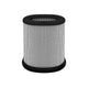 Momentum Intake Replacement Filter <br> Universal