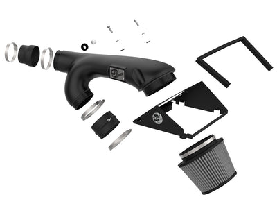 Magnum FORCE Cold Air Intake System <br> 17-20 Ford F-150/Raptor, 18-21 Expedition, Navigator