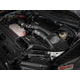 Momentum XP Pro DRY S Intake - Black <br> 17-20 Ford F-150 Raptor V6 3.5L