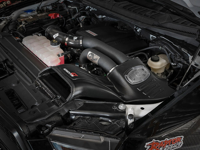 Momentum XP Pro DRY S Intake - Black <br> 17-20 Ford F-150 Raptor V6 3.5L