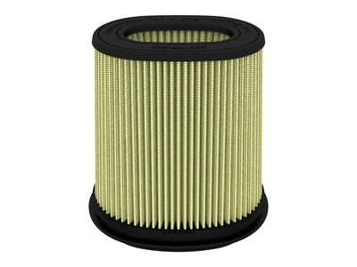 Momentum Intake Replacement Filter <br> Universal