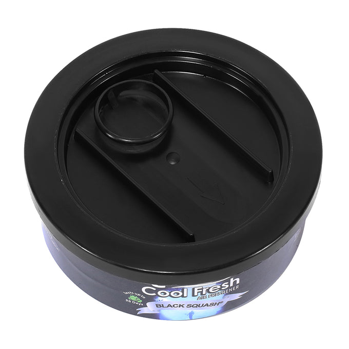 Black Squash Scent Air Freshener