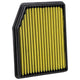 irect Replacement Filter <br> 20-25 Chevy Silverado GMC Sierra 2500 3500 HD