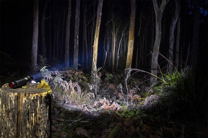 Pureview 800 Flashlight