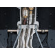 Track Edition Catback Exhaust <br>15-20 BMW M4, 15-18 BMW M3
