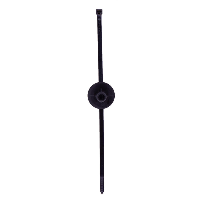 B6 Performance Shock Rear <br>20-25 Toyota GR Supra, 19-21 BMW Z4