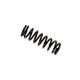 B3 OE Coil Spring - Rear <br>95-01 BMW 740i 750iL