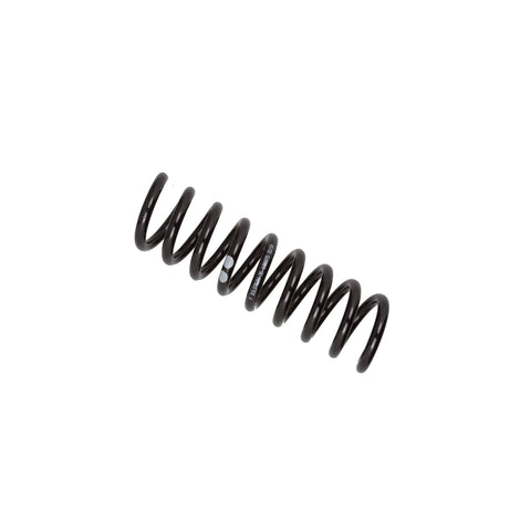 B3 OE Coil Spring - Rear <br>96-03 Mercedes-Benz E320