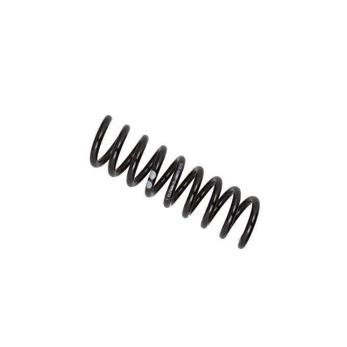 B3 OE Coil Spring - Rear <br>96-03 Mercedes-Benz E320