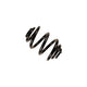 B3 Rear Coil Spring <br>98-06 BMW 3 Series