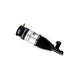 Rear Left Air Suspension Spring & Twintube Shock <br>03-15 Q7/Cayenne/Touareg (VW Group)