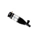 Rear Right Air Suspension Spring & Twintube Shock <br>03-15 Q7/Cayenne/Touareg (VW Group)