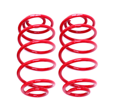 Rear Lowering Springs 1in Drop <br> 67-72 A-Body