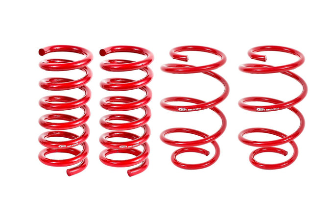 Set Of 4 Performance Lowering Springs <br> 15-24 Ford Mustang