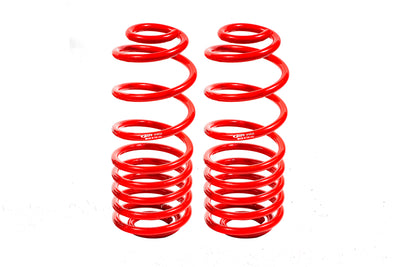 Rear Lowering Springs 3.0in Drop <br> 06-09 Chevrolet Trailblazer