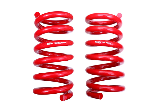 Rear Handling Version Lowering Springs <br> 15-24 Ford Mustang