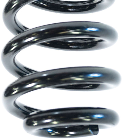 2.50 in. Performance Coil Springs (pair) (gas) <br>05-25 Ford F-250 F-350 Super Duty