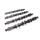Xtreme XE-R Hydraulic Roller Camshaft <br> 1993+ Ford 4.6L 5.4L 5.8L DOHC Modular