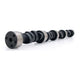 Xtreme Oval Solid Flat Tappet Camshaft <br> 58-98 Chevy Small Block 262-400 V8