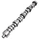 LST Stage 1 NSR Solid Roller Camshaft <br> 01-16 GM 6600/6.6L Duramax Diesel