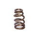 Race Sportsman 1.585in OD Beehive SValve Spring <br> 1.925in Installed Height