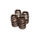 Race Sportsman 1.454in OD Beehive Springs <br> 1.800in Installed Height, 4 Springs