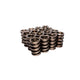 Valve Springs W/ Damper <br> 1.549 OD, 2.000 IH, .800 LIFT, 500 LBS/IN