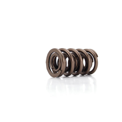 Race Endurance 1.560in OD Dual Spring <br> 2.050in Installed Height, 1 Spring