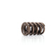 Race Endurance 1.560in OD Dual Spring <br> 2.050in Installed Height, 1 Spring